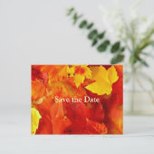 Orange Blätter Save the Date Hochzeit im Herbst Ca Ankündigungspostkarte (Stehend Vorderseite)