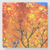 Orange Blätter Steinuntersetzer (Vorderseite)