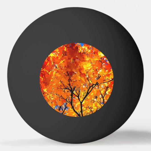 Orange Blätter Tischtennisball (Vorderseite)