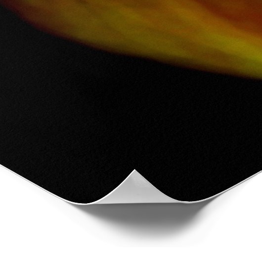 Orange Bloom Poster (Ecke)