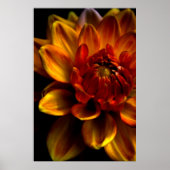 Orange Bloom Poster (Vorne)