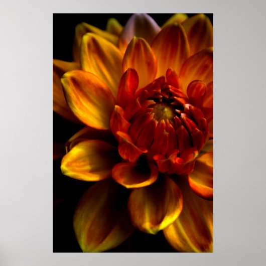 Orange Bloom Poster (Vorne)