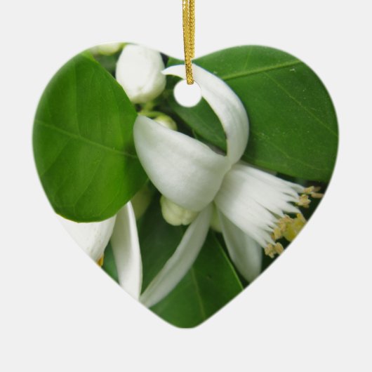 Orange Blossom Keramik Ornament (Vorne)