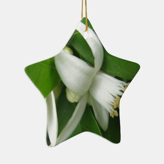 Orange Blossom Keramikornament (Rechts)