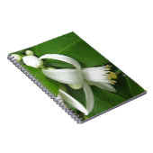 Orange Blossom Notizblock (Rechte Seite)