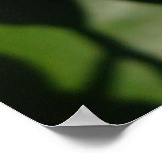 Orange Blossom Poster (Ecke)