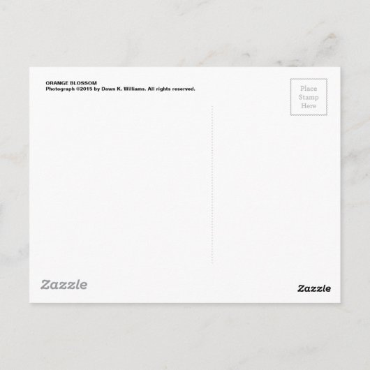 Orange Blossom Postkarte (Rückseite)