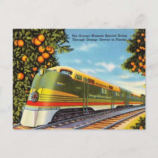 Orange Blossom Special Orange Groves in Floride Postkarte (Vorderseite)