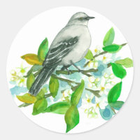 Orange Blossom Tree Florida Mockingbird