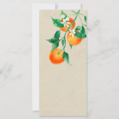 Orange Blossom Wedding Program (Rückseite)