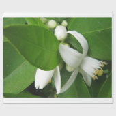 Orange Blossom Wrapping Paper Geschenkpapier (Flach)