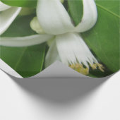 Orange Blossom Wrapping Paper Geschenkpapier (Ecke)