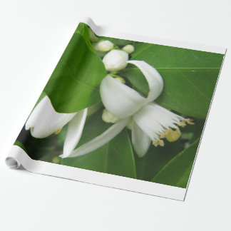 Orange Blossom Wrapping Paper Geschenkpapier