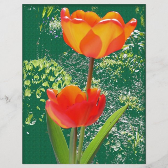 Orange Blume (Vorderseite)