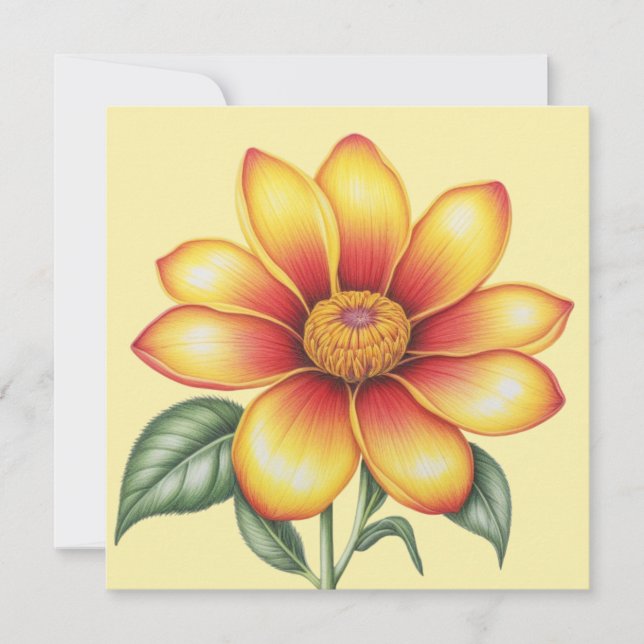 Orange Blume (Vorderseite)