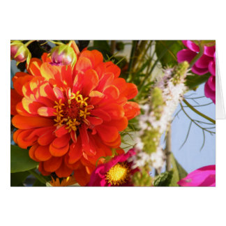 Orange Blume