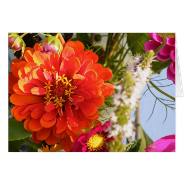 Orange Blume (Vorderseite (Horizontal))