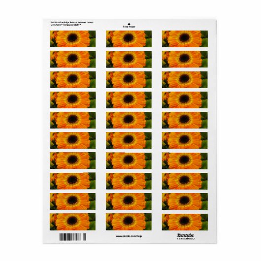 Orange-Blume (Vorne)