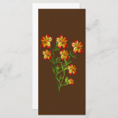 Orange Blume (Vorne/Hinten)