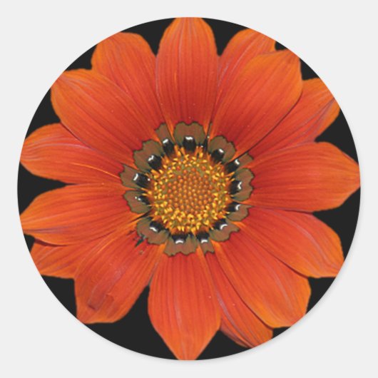 Orange Blume2 Aufkleber (Vorderseite)