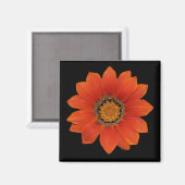 Orange Blume 2 Magnet (Vorderseite/Rückseite)