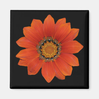 Orange Blume 2 Magnet
