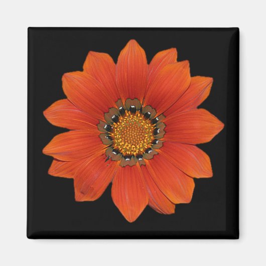 Orange Blume 2 Magnet (Vorne)