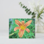 Orange Blume 2 Postkarte (Stehend Vorderseite)