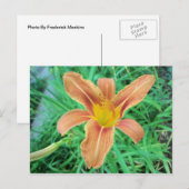 Orange Blume 2 Postkarte (Vorne/Hinten)