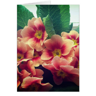 Orange Blume Blank Card