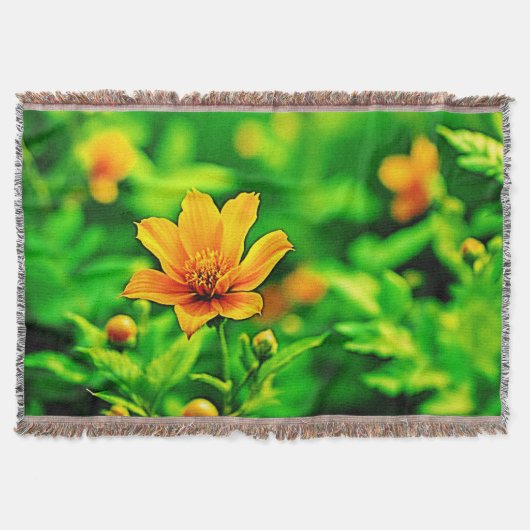 Orange Blume Bokeh Sunny Decke (Vorderseite)