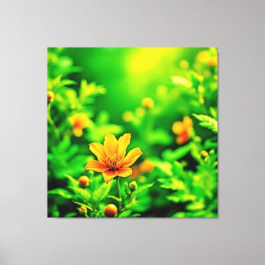 Orange Blume Bokeh Sunny Leinwanddruck (Vorderseite)