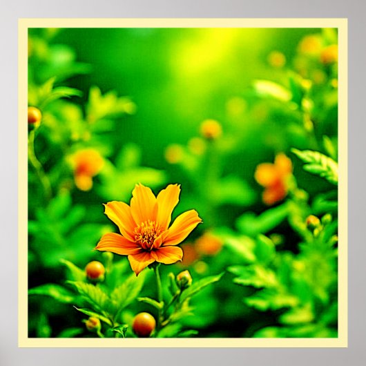 Orange Blume Bokeh Sunny Poster (Vorne)