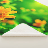 Orange Blume Bokeh Sunny Sherpadecke (3/4)