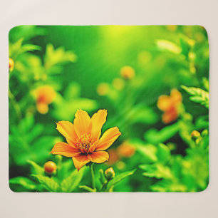 Orange Blume Bokeh Sunny Sherpadecke