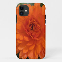 Orange Blume
