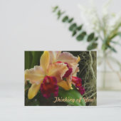 Orange Blume Cattleya Orchids Postkarte (Stehend Vorderseite)
