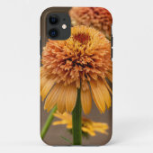 Orange Blume Delight Case-Mate iPhone Hülle (Rückseite)