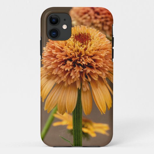 Orange Blume Delight Case-Mate iPhone Hülle (Rückseite)