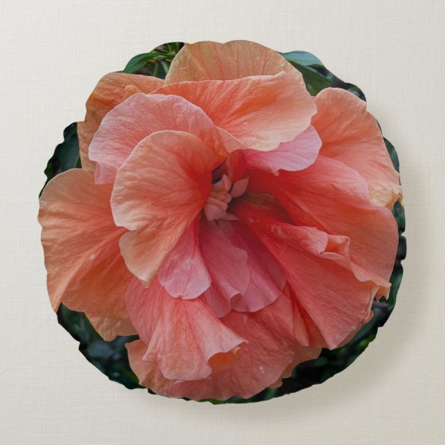 Orange Blume Foto Pilze Rundes Kissen (Vorderseite)