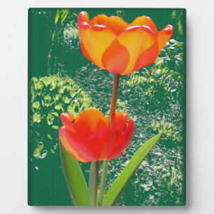 Orange Blume Fotoplatte