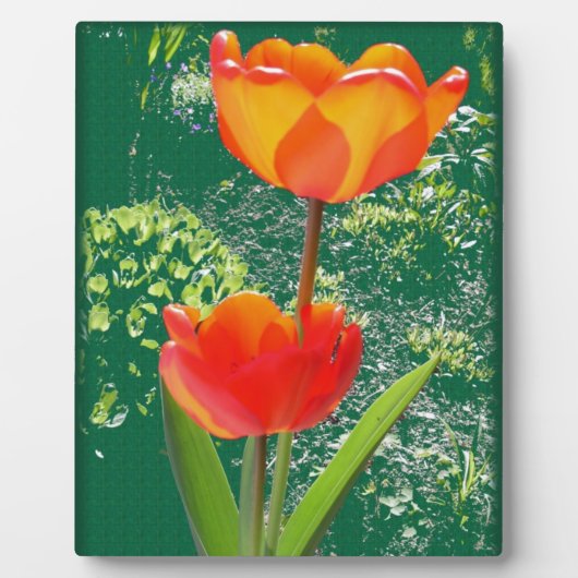 Orange Blume Fotoplatte (Vorderseite)