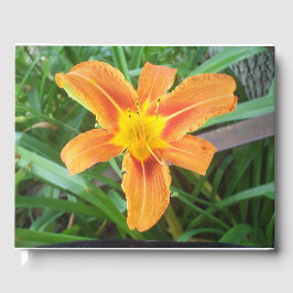 Orange Blume Gästebuch