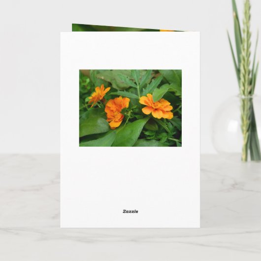 Orange Blume Geburtskarte Karte (Rückseite)