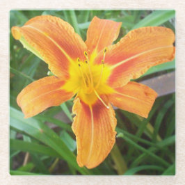 Orange Blume Glasuntersetzer