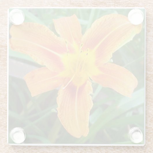 Orange Blume Glasuntersetzer (Rückseite)