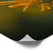 Orange Blume head Inula Orientalis CC0023 Poster (Ecke)