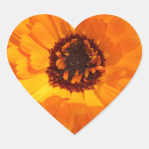 Orange Blume Heart Sticker