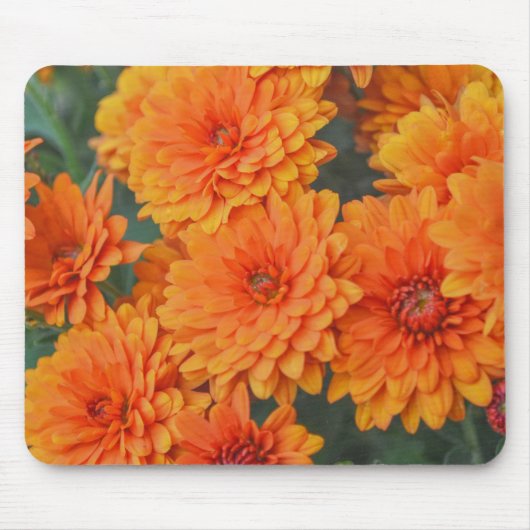 Orange Blume Herbst Blumensaison Mouse Pad Mousepad (Vorne)
