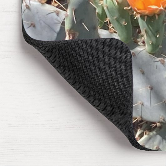 Orange Blume im Kaktus im Balboa Park Mousepad (Ecke)